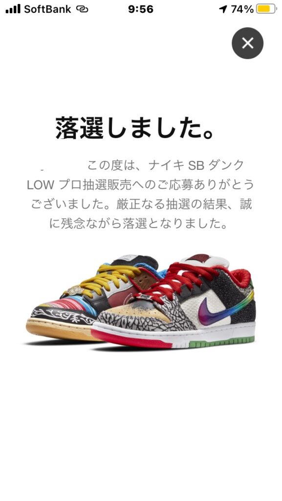 NIKE SB DUNK PRO