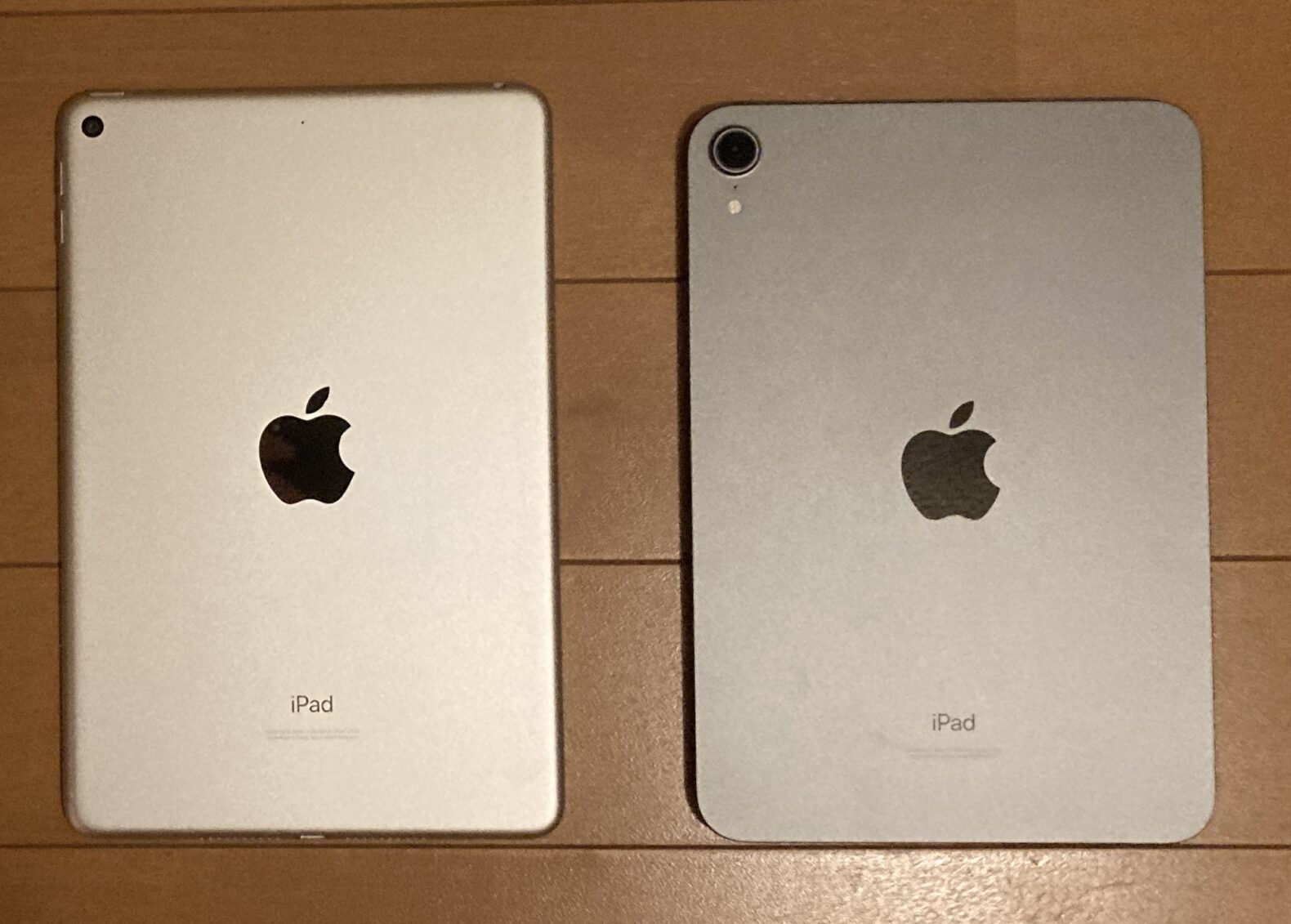 iPad mini5 and iPad mini6