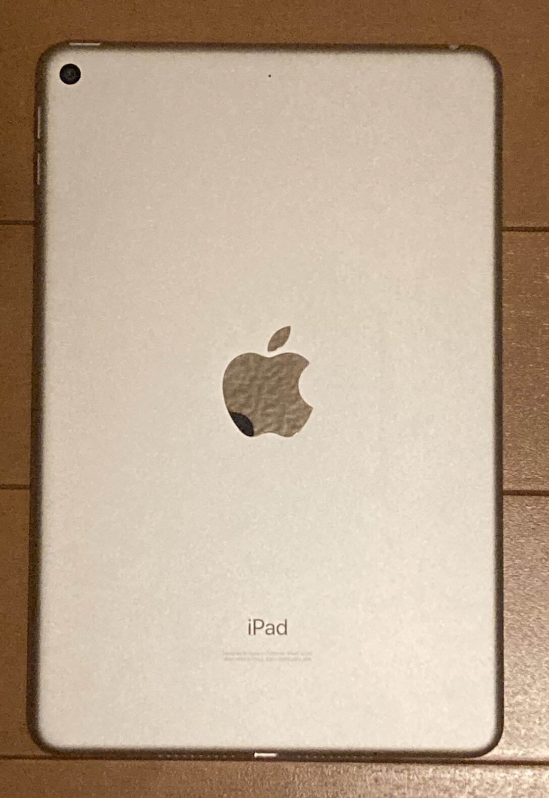 ipad mini 5