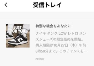 特別な機会をあなたに ダンク JUST FOR YOU